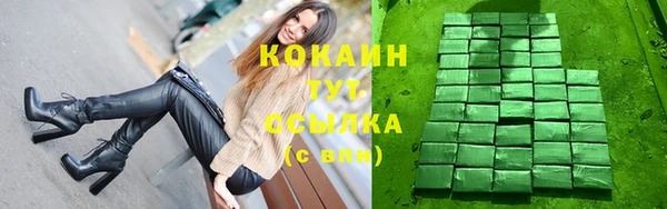 СК Гусь-Хрустальный