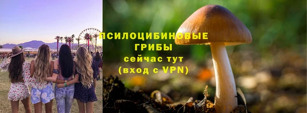 СК Гусиноозёрск