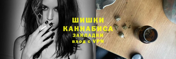 гашик Гусев