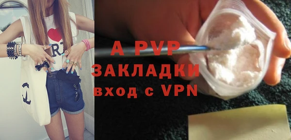 гашик Гусев
