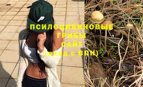 гашик Гусев