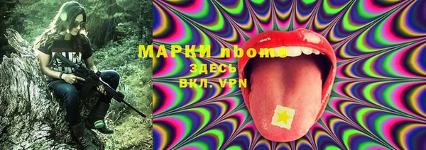 гашик Гусев