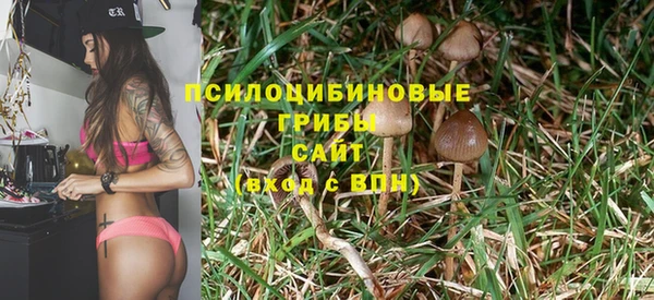 СК Гусиноозёрск