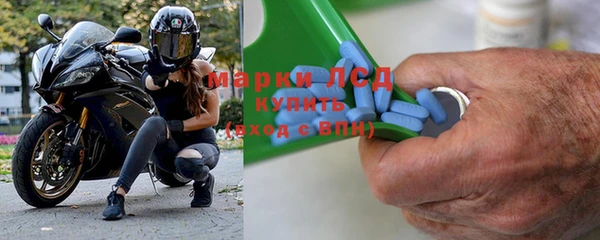 гашик Гусев