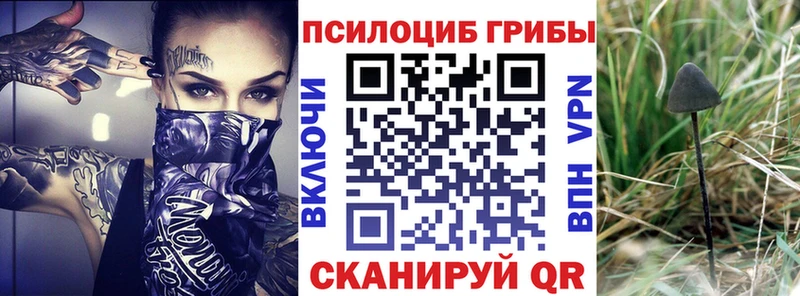 Псилоцибиновые грибы GOLDEN TEACHER  ОМГ ОМГ ссылки  Москва 
