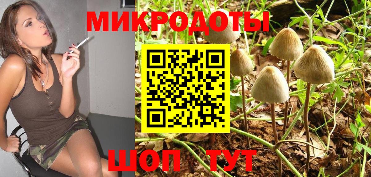 Москва  Псилоцибиновые грибы Cubensis  Вход с VPN 